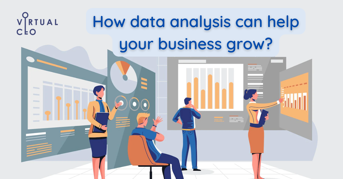 You are currently viewing How Data Analysis can help your business grow? | VCFO